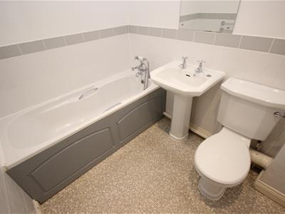Picture 15